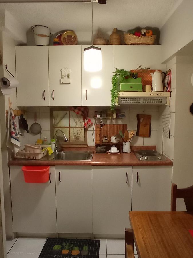 Dulce Hogar Lejlighed Santiago de Chile Eksteriør billede